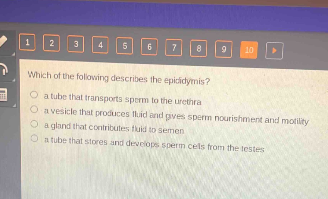 which of the following describes the epididymis?\n a tube that transports sperm to the urethra\n a vesicle that produces fluid and gives sperm nourishment and motility\n a gland that contributes fluid to semen\n a tube that stores and develops sperm cells from the testes