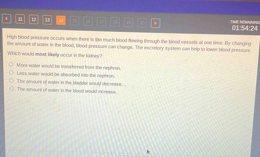 high blood pressure occurs when there is too much blood flowing through the blood vessels at one time. by changing the amount of water in the blood, blood pressure can change. the excretory system can help to lower blood pressure. which would most likely occur in the kidney?\nmore water would be transferred from the nephron.\nless water would be absorbed into the nephron.\nthe amount of water in the bladder would decrease.\nthe amount of water in the blood would increase.