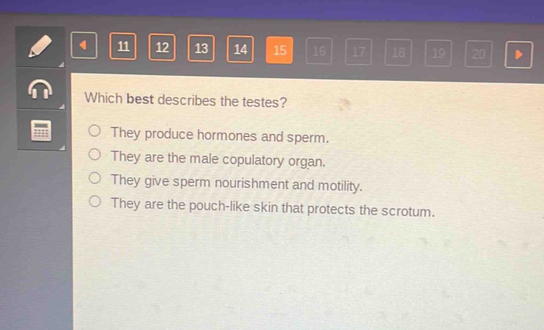 which best describes the testes?\nthey produce hormones and sperm.\nthey are the male copulatory organ.\nthey give sperm nourishment and motility.\nthey are the pouch - like skin that protects the scrotum.