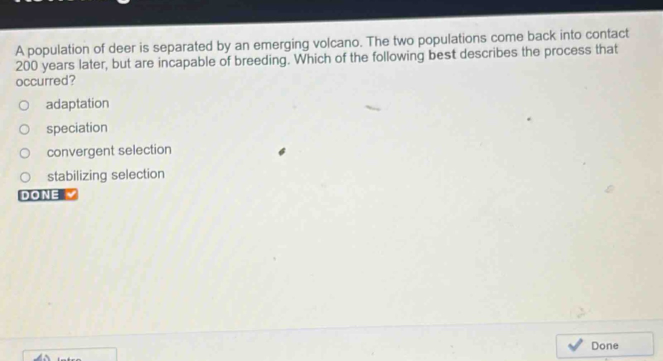a population of deer is separated by an emerging volcano. the two populations come back into contact 200 years later, but are incapable of breeding. which of the following best describes the process that occurred?\nadaptation\nspeciation\nconvergent selection\nstabilizing selection