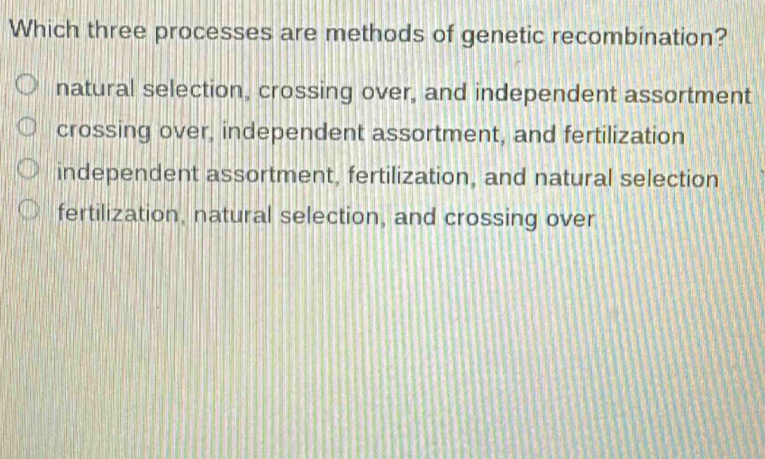which three processes are methods of genetic recombination?\nnatural selection, crossing over, and independent assortment\ncrossing over, independent assortment, and fertilization\nindependent assortment, fertilization, and natural selection\nfertilization, natural selection, and crossing over