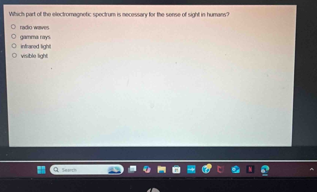 which part of the electromagnetic spectrum is necessary for the sense of sight in humans?\no radio waves\no gamma rays\no infrared light\no visible light