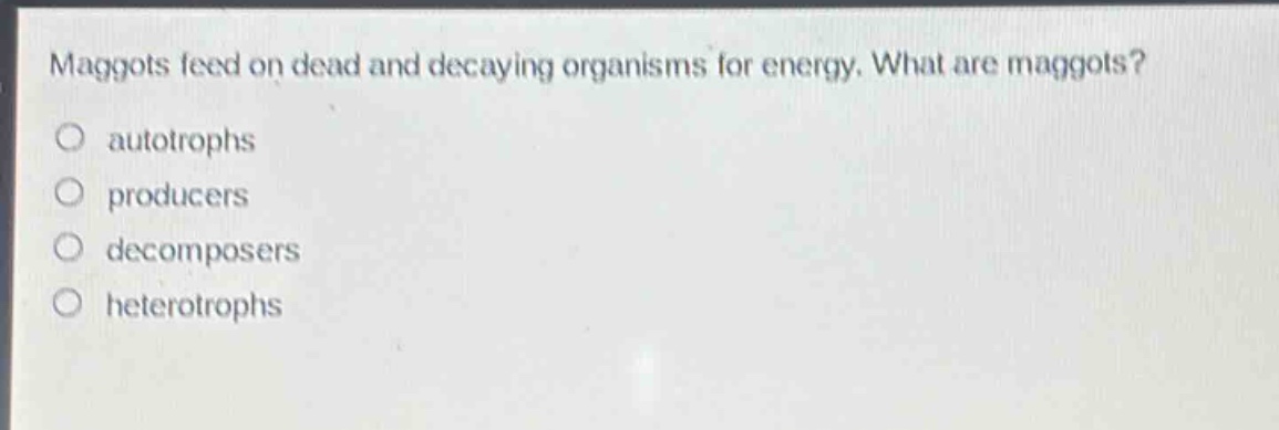 maggots feed on dead and decaying organisms for energy. what are maggots?\no autotrophs\no producers\no decomposers\no heterotrophs
