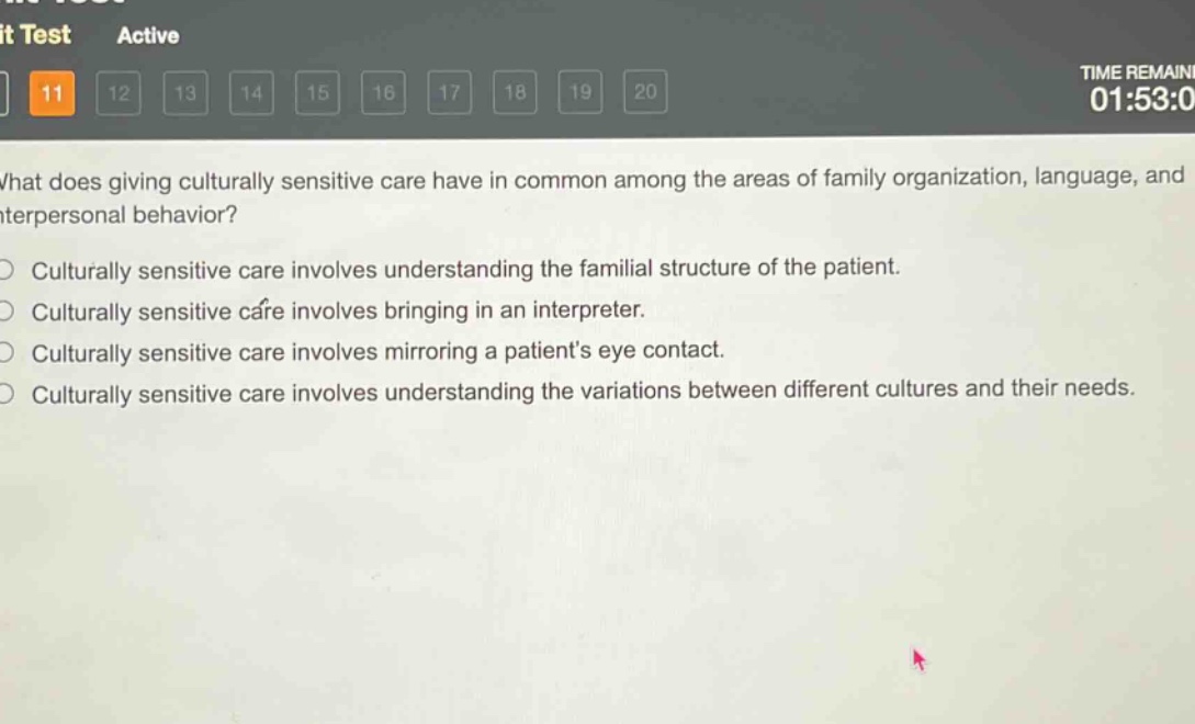what does giving culturally sensitive care have in common among the areas of family organization, language, and interpersonal behavior?\nculturally sensitive care involves understanding the familial structure of the patient.\nculturally sensitive care involves bringing in an interpreter.\nculturally sensitive care involves mirroring a patients eye contact.\nculturally sensitive care involves understanding the variations between different cultures and their needs.