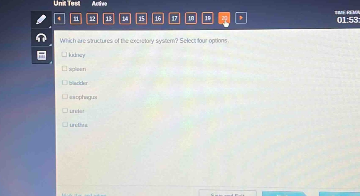 which are structures of the excretory system? select four options.\n□ kidney\n□ spleen\n□ bladder\n□ esophagus\n□ ureter\n□ urethra