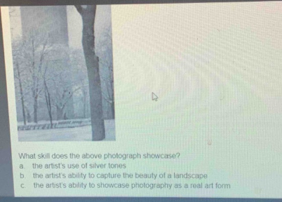 what skill does the above photograph showcase?\na. the artists use of silver tones\nb. the artists ability to capture the beauty of a landscape\nc. the artists ability to showcase photography as a real art form