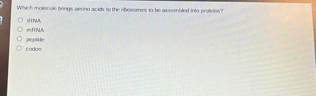 which molecule brings amino acids to the ribosomes to be assembled into proteins?\no trna\no mrna\no peptide\no codon