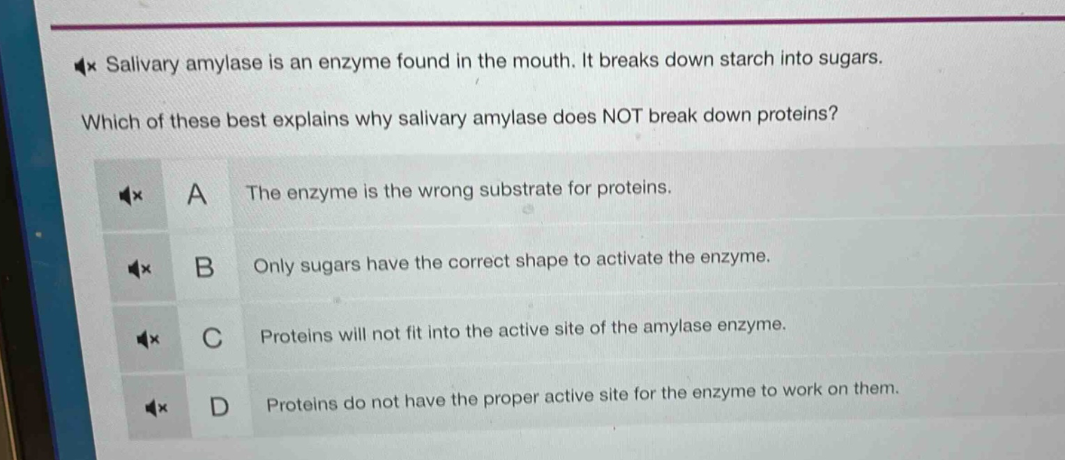 salivary amylase is an enzyme found in the mouth. it breaks down starch into sugars. which of these best explains why salivary amylase does not break down proteins? a the enzyme is the wrong substrate for proteins. b only sugars have the correct shape to activate the enzyme. c proteins will not fit into the active site of the amylase enzyme. d proteins do not have the proper active site for the enzyme to work on them.