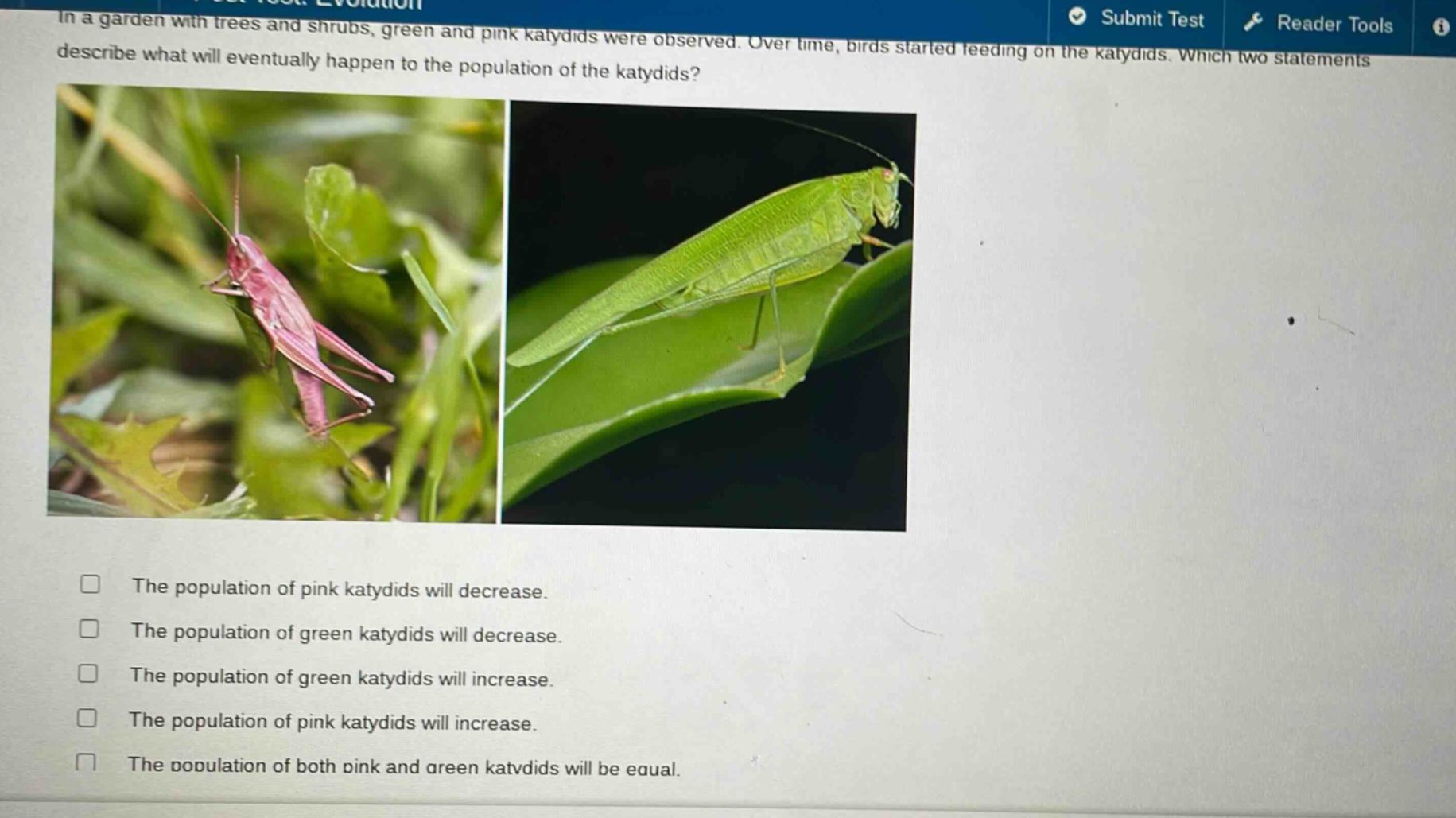 in a garden with trees and shrubs, green and pink katydids were observed. over time, birds started feeding on the katydids. which two statements describe what will eventually happen to the population of the katydids?\nthe population of pink katydids will decrease.\nthe population of green katydids will decrease.\nthe population of green katydids will increase.\nthe population of pink katydids will increase.\nthe population of both pink and green katydids will be equal.