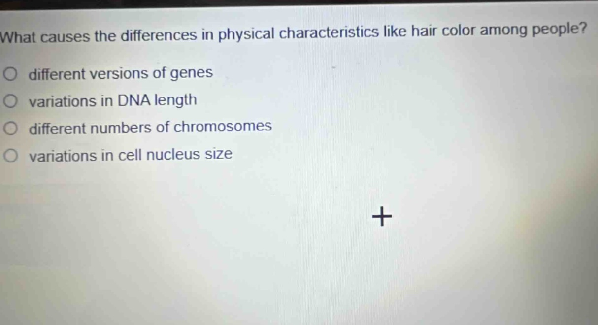 what causes the differences in physical characteristics like hair color among people?\no different versions of genes\no variations in dna length\no different numbers of chromosomes\no variations in cell nucleus size