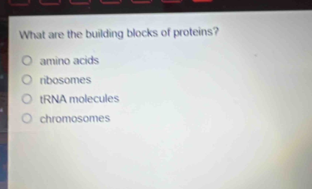 what are the building blocks of proteins?\no amino acids\no ribosomes\no trna molecules\no chromosomes
