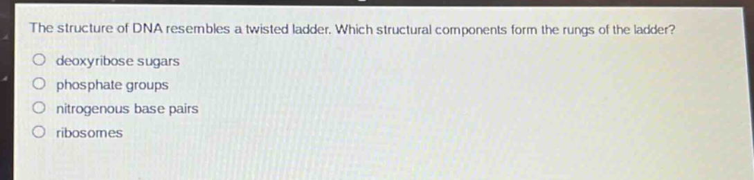 the structure of dna resembles a twisted ladder. which structural components form the rungs of the ladder?\ndeoxyribose sugars\nphosphate groups\nnitrogenous base pairs\nribosomes