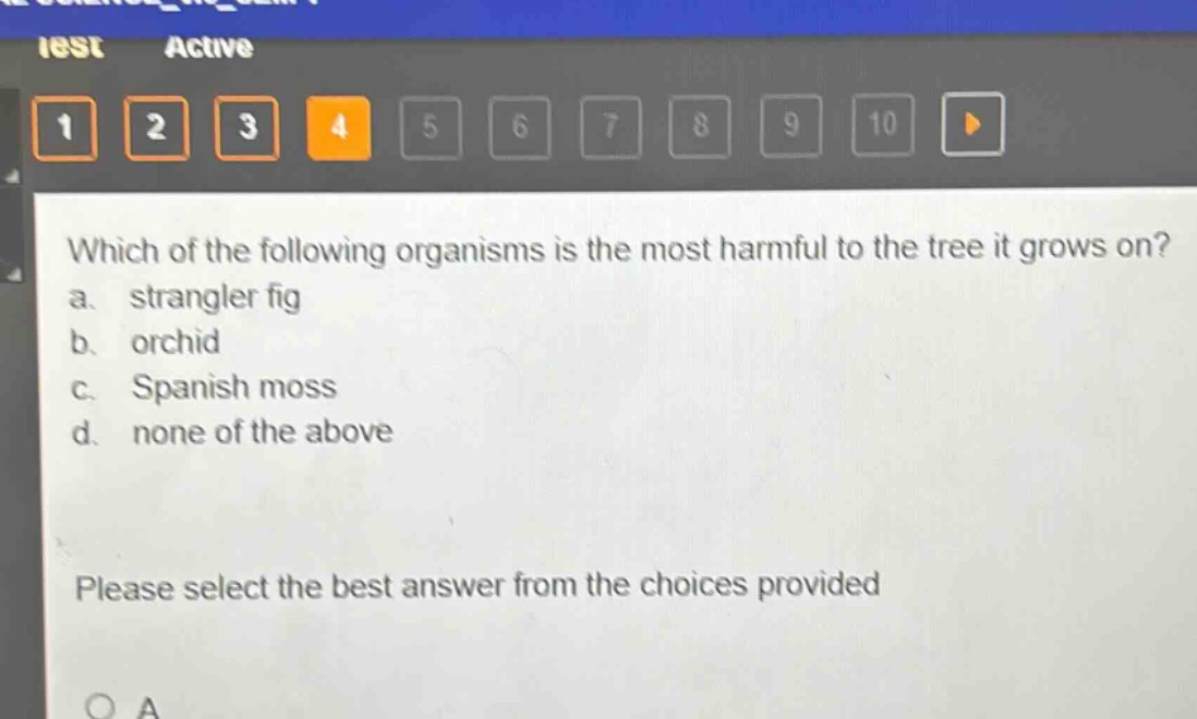 which of the following organisms is the most harmful to the tree it grows on?\na. strangler fig\nb. orchid\nc. spanish moss\nd. none of the above\nplease select the best answer from the choices provided
