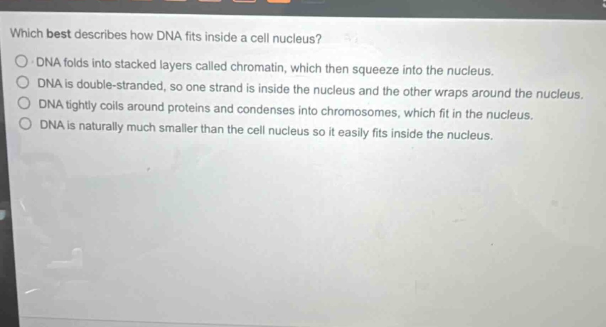 which best describes how dna fits inside a cell nucleus?\ndna folds into stacked layers called chromatin, which then squeeze into the nucleus.\ndna is double - stranded, so one strand is inside the nucleus and the other wraps around the nucleus.\ndna tightly coils around proteins and condenses into chromosomes, which fit in the nucleus.\ndna is naturally much smaller than the cell nucleus so it easily fits inside the nucleus.