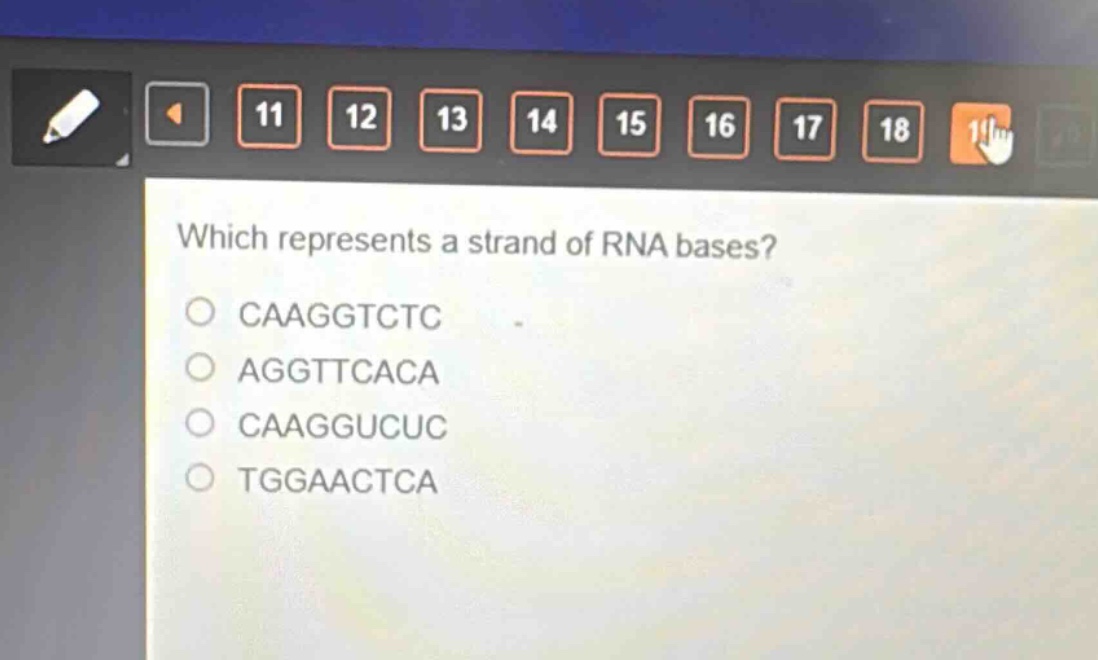 which represents a strand of rna bases?\no caaggtctc\no aggttcaca\no caaggucuc\no tggaactca