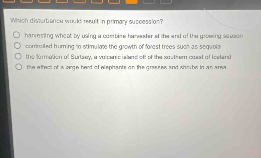 which disturbance would result in primary succession?\no harvesting wheat by using a combine harvester at the end of the growing season\no controlled burning to stimulate the growth of forest trees such as sequoia\no the formation of surtsey, a volcanic island off of the southern coast of iceland\no the effect of a large herd of elephants on the grasses and shrubs in an area