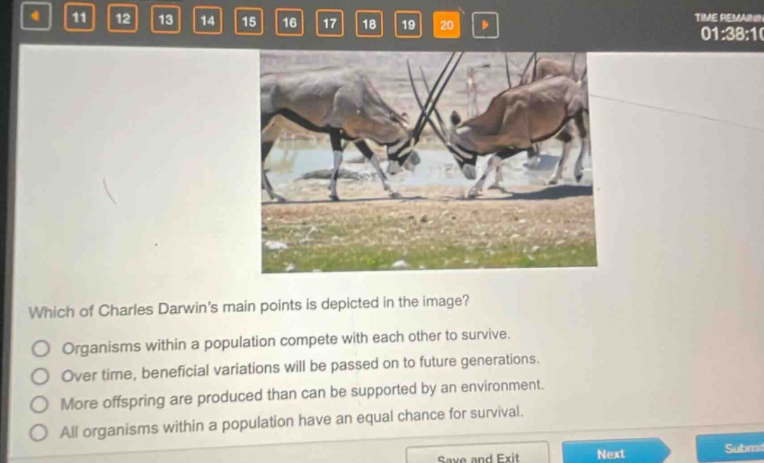 which of charles darwins main points is depicted in the image?\norganisms within a population compete with each other to survive.\nover time, beneficial variations will be passed on to future generations.\nmore offspring are produced than can be supported by an environment.\nall organisms within a population have an equal chance for survival.