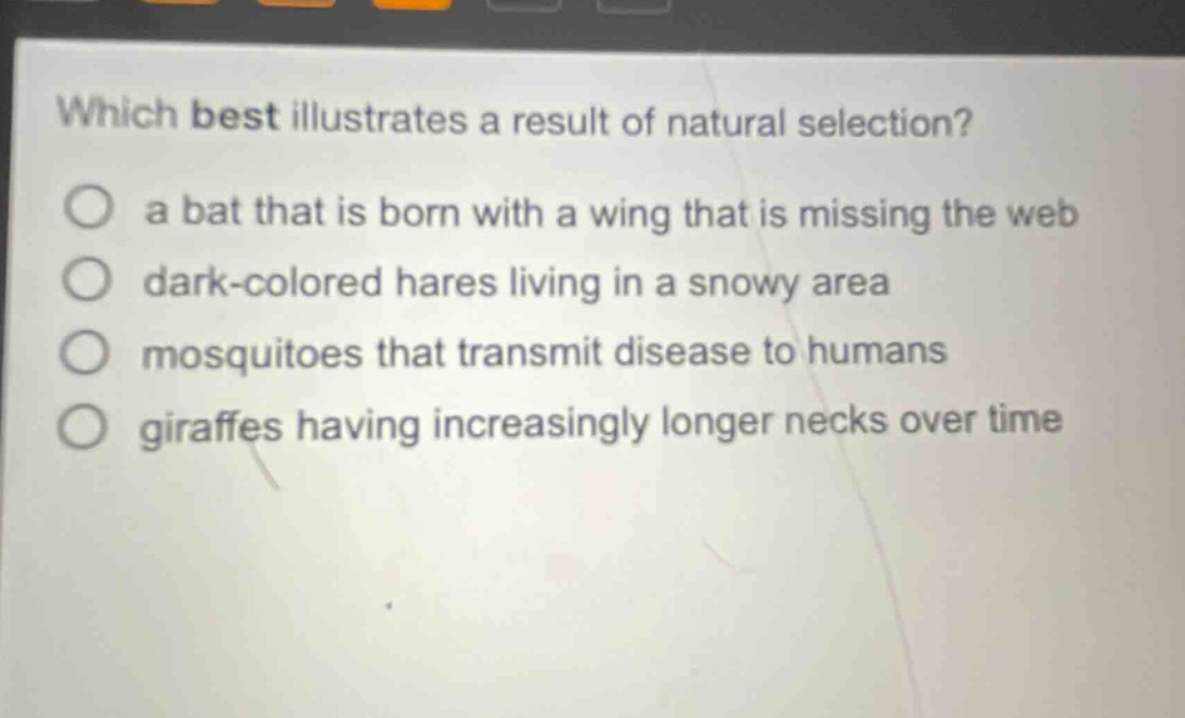 which best illustrates a result of natural selection?\n a bat that is born with a wing that is missing the web\n dark - colored hares living in a snowy area\n mosquitoes that transmit disease to humans\n giraffes having increasingly longer necks over time