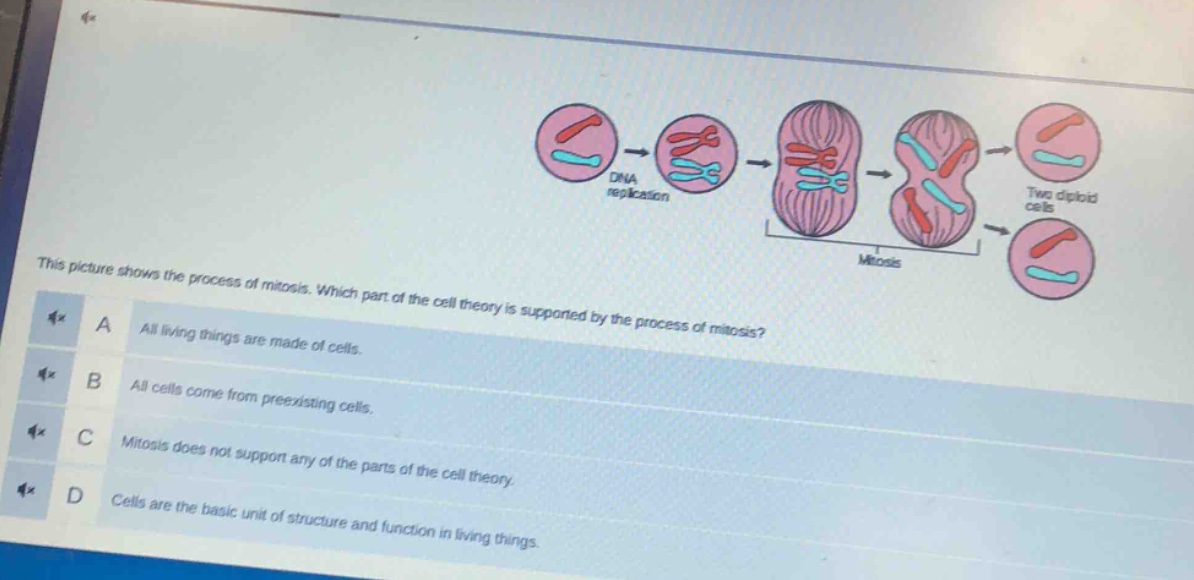 this picture shows the process of mitosis. which part of the cell theory is supported by the process of mitosis? a all living things are made of cells. b all cells come from preexisting cells. c mitosis does not support any of the parts of the cell theory. d cells are the basic unit of structure and function in living things.