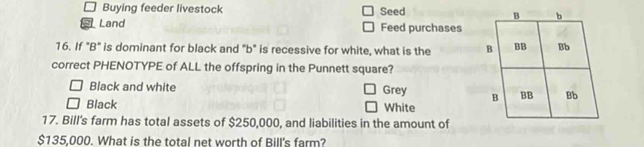 buying feeder livestock\nland\n16. if \b\ is dominant for black and \b\ is recessive for white, what is the correct phenotype of all the offspring in the punnett square?\n□ black and white\n□ black\n□ grey\n□ white\n17. bills farm has total assets of $250,000, and liabilities in the amount of $135,000. what is the total net worth of bills farm?