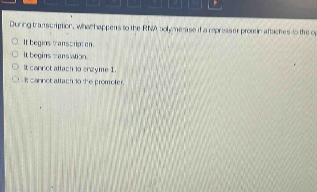during transcription, what happens to the rna polymerase if a repressor protein attaches to the operator?\nit begins transcription.\nit begins translation.\nit cannot attach to enzyme 1.\nit cannot attach to the promoter.