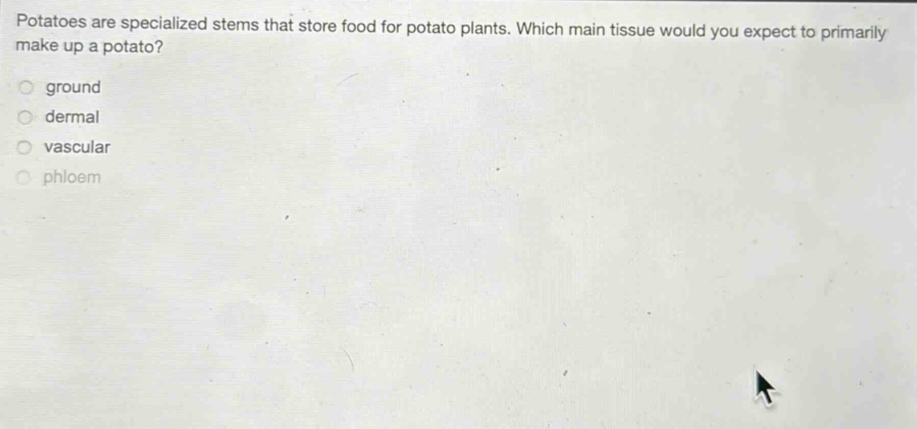 potatoes are specialized stems that store food for potato plants. which main tissue would you expect to primarily make up a potato?\nground\ndermal\nvascular\nphloem