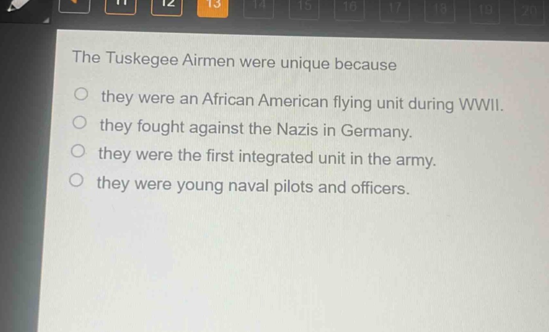 the tuskegee airmen were unique because\no they were an african american flying unit during wwii.\no they fought against the nazis in germany.\no they were the first integrated unit in the army.\no they were young naval pilots and officers.