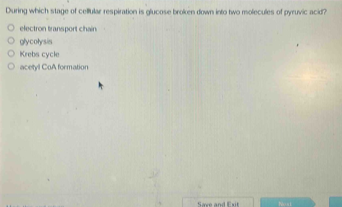 during which stage of cellular respiration is glucose broken down into two molecules of pyruvic acid?\n electron transport chain\n glycolysis\n krebs cycle\n acetyl coa formation