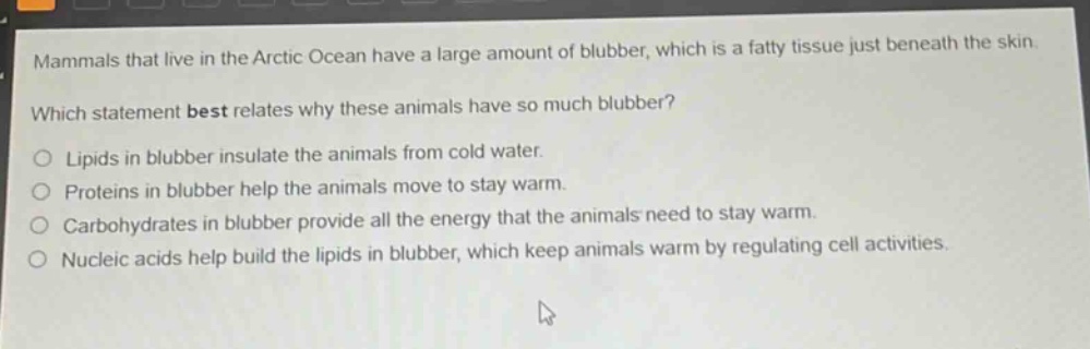 mammals that live in the arctic ocean have a large amount of blubber, which is a fatty tissue just beneath the skin. which statement best relates why these animals have so much blubber?\no lipids in blubber insulate the animals from cold water.\no proteins in blubber help the animals move to stay warm.\no carbohydrates in blubber provide all the energy that the animals need to stay warm.\no nucleic acids help build the lipids in blubber, which keep animals warm by regulating cell activities.