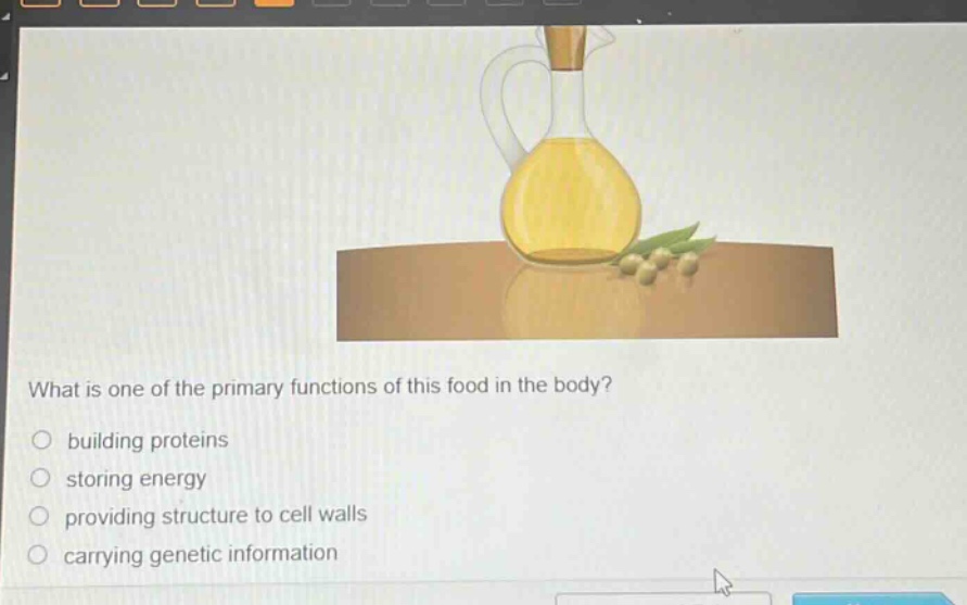 what is one of the primary functions of this food in the body?\n○ building proteins\n○ storing energy\n○ providing structure to cell walls\n○ carrying genetic information