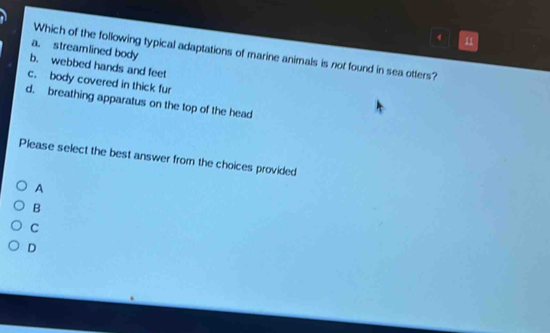 which of the following typical adaptations of marine animals is not found in sea otters?\na. streamlined body\nb. webbed hands and feet\nc. body covered in thick fur\nd. breathing apparatus on the top of the head\nplease select the best answer from the choices provided\na\nb\nc\nd