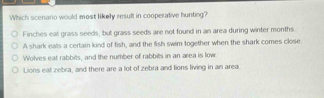 which scenario would most likely result in cooperative hunting?\no finches eat grass seeds, but grass seeds are not found in an area during winter months.\no a shark eats a certain kind of fish, and the fish swim together when the shark comes close.\no wolves eat rabbits, and the number of rabbits in an area is low.\no lions eat zebra, and there are a lot of zebra and lions living in an area.