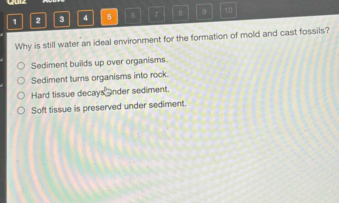 why is still water an ideal environment for the formation of mold and cast fossils?\nsediment builds up over organisms.\nsediment turns organisms into rock.\nhard tissue decays under sediment.\nsoft tissue is preserved under sediment.