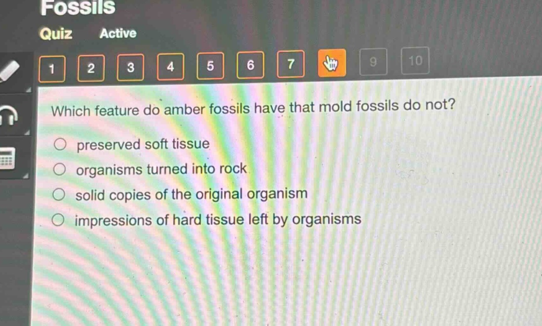 which feature do amber fossils have that mold fossils do not?\npreserved soft tissue\norganisms turned into rock\nsolid copies of the original organism\nimpressions of hard tissue left by organisms