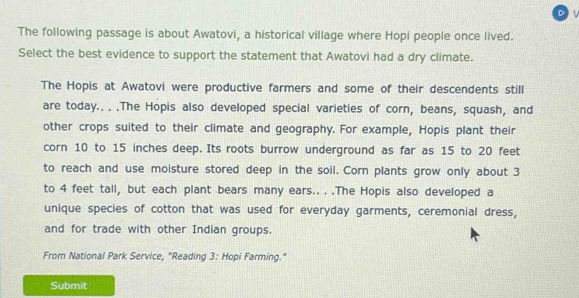 the following passage is about awatovi, a historical village where hopi people once lived. select the best evidence to support the statement that awatovi had a dry climate.\nthe hopis at awatovi were productive farmers and some of their descendents still are today...the hopis also developed special varieties of corn, beans, squash, and other crops suited to their climate and geography. for example, hopis plant their corn 10 to 15 inches deep. its roots burrow underground as far as 15 to 20 feet to reach and use moisture stored deep in the soil. corn plants grow only about 3 to 4 feet tall, but each plant bears many ears...the hopis also developed a unique species of cotton that was used for everyday garments, ceremonial dress, and for trade with other indian groups.\nfrom national park service, \reading 3: hopi farming.\