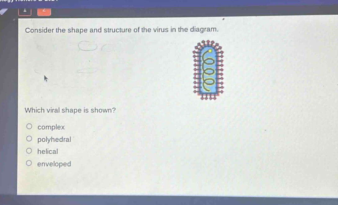 consider the shape and structure of the virus in the diagram. which viral shape is shown? complex polyhedral helical enveloped
