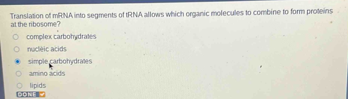 translation of mrna into segments of trna allows which organic molecules to combine to form proteins at the ribosome?\ncomplex carbohydrates\nnucleic acids\nsimple carbohydrates\namino acids\nlipids