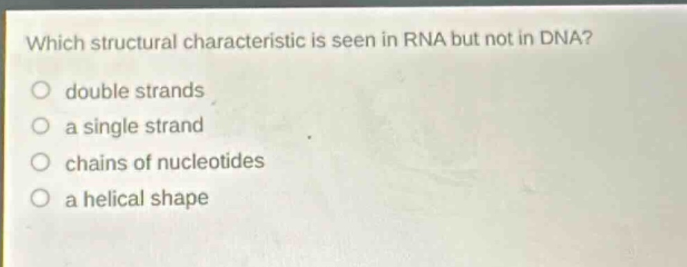 which structural characteristic is seen in rna but not in dna?\no double strands\no a single strand\no chains of nucleotides\no a helical shape