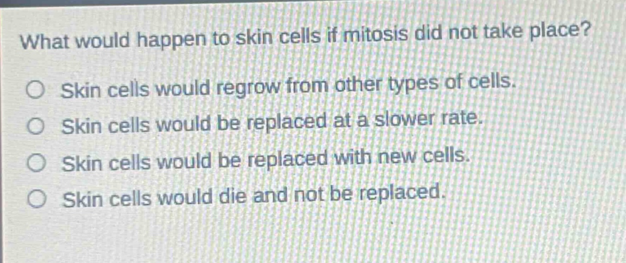 what would happen to skin cells if mitosis did not take place?\no skin cells would regrow from other types of cells.\no skin cells would be replaced at a slower rate.\no skin cells would be replaced with new cells.\no skin cells would die and not be replaced.