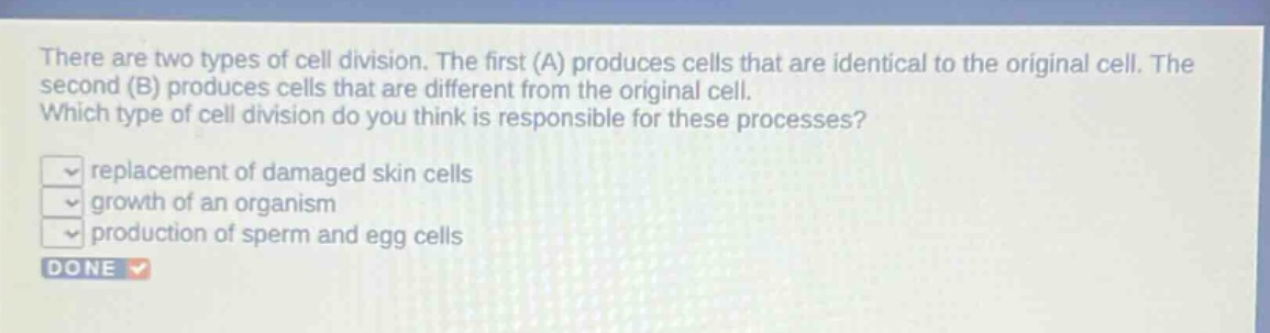 there are two types of cell division. the first (a) produces cells that are identical to the original cell. the second (b) produces cells that are different from the original cell. which type of cell division do you think is responsible for these processes? replacement of damaged skin cells growth of an organism production of sperm and egg cells