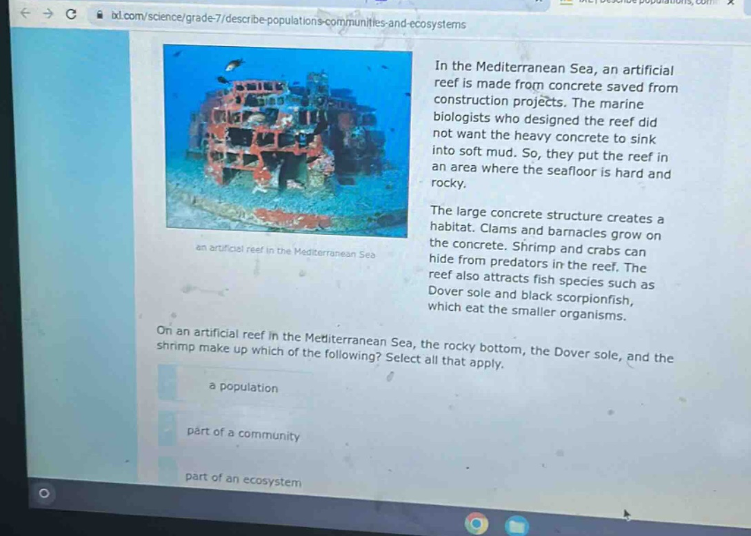 in the mediterranean sea, an artificial reef is made from concrete saved from construction projects. the marine biologists who designed the reef did not want the heavy concrete to sink into soft mud. so, they put the reef in an area where the seafloor is hard and rocky.\nthe large concrete structure creates a habitat. clams and barnacles grow on the concrete. shrimp and crabs can hide from predators in the reef. the reef also attracts fish species such as dover sole and black scorpionfish, which eat the smaller organisms.\non an artificial reef in the mediterranean sea, the rocky bottom, the dover sole, and the shrimp make up which of the following? select all that apply.\na population\npart of a community\npart of an ecosystem