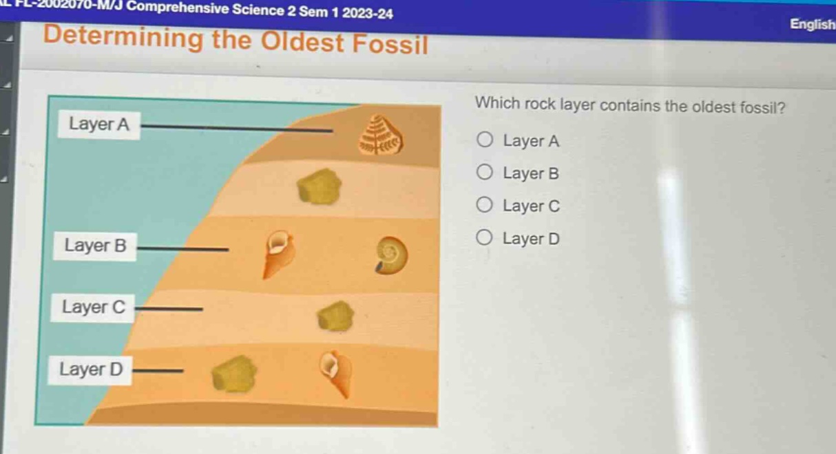 determining the oldest fossil\nwhich rock layer contains the oldest fossil?\nlayer a\nlayer b\nlayer c\nlayer d