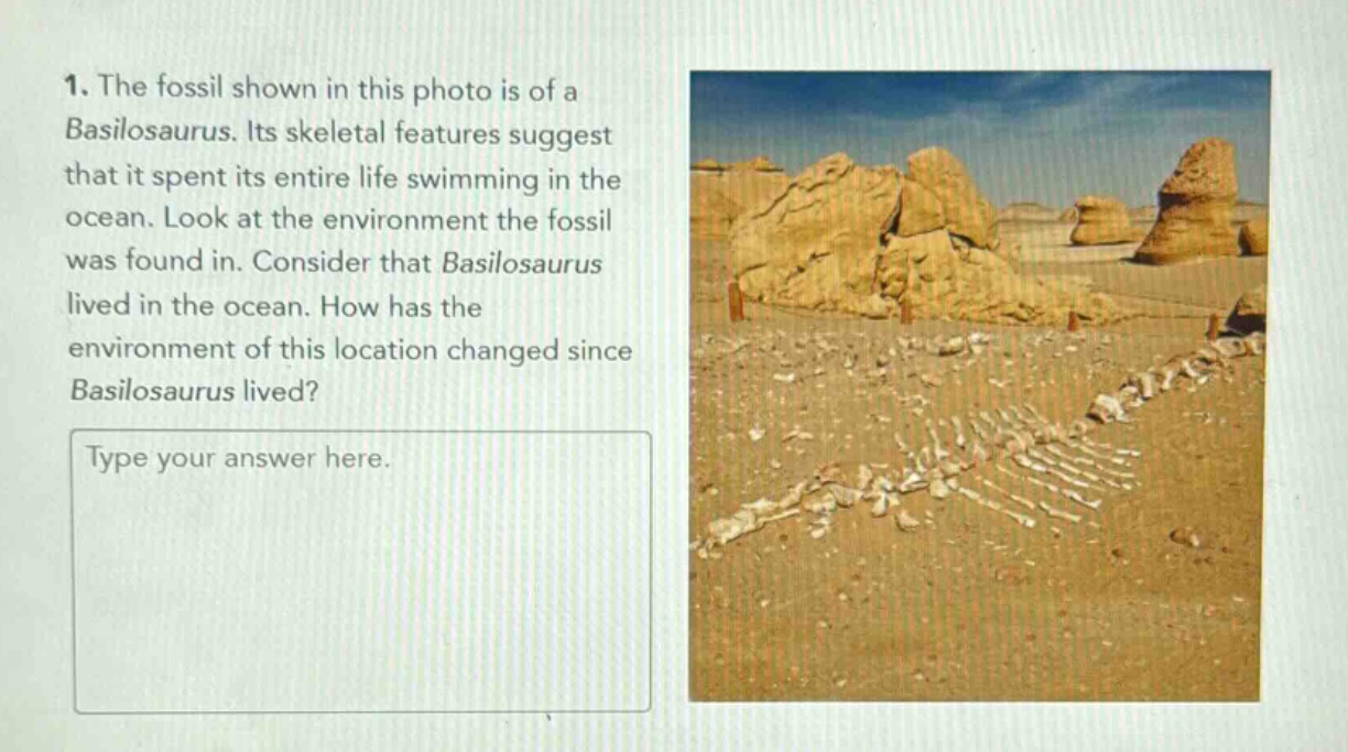 1. the fossil shown in this photo is of a basilosaurus. its skeletal features suggest that it spent its entire life swimming in the ocean. look at the environment the fossil was found in. consider that basilosaurus lived in the ocean. how has the environment of this location changed since basilosaurus lived? type your answer here.
