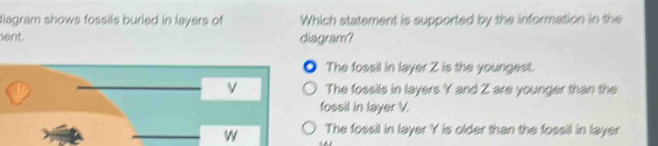 diagram shows fossils buried in layers of\nwhich statement is supported by the information in the\ndiagram?\nthe fossil in layer z is the youngest.\nthe fossils in layers y and z are younger than the\nfossil in layer v.\nthe fossil in layer y is older than the fossil in layer\nw