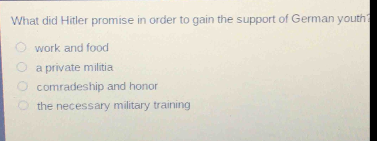 what did hitler promise in order to gain the support of german youth?\nwork and food\na private militia\ncomradeship and honor\nthe necessary military training