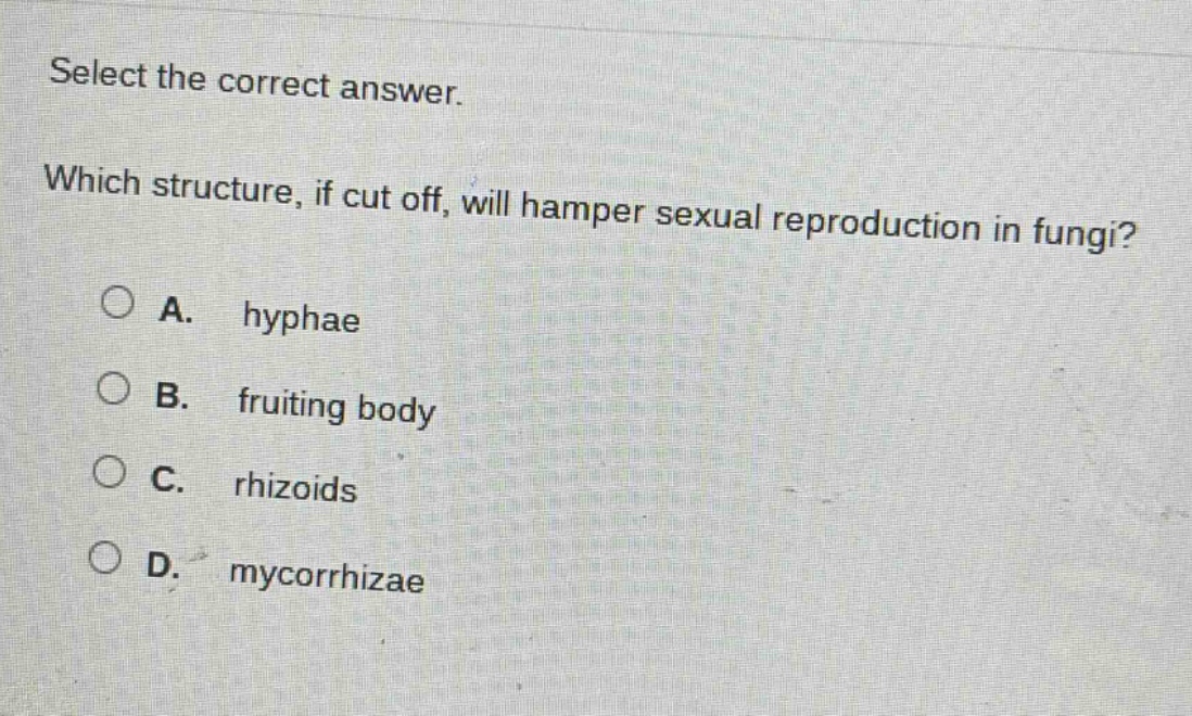 select the correct answer. which structure, if cut off, will hamper sexual reproduction in fungi? a. hyphae b. fruiting body c. rhizoids d. mycorrhizae