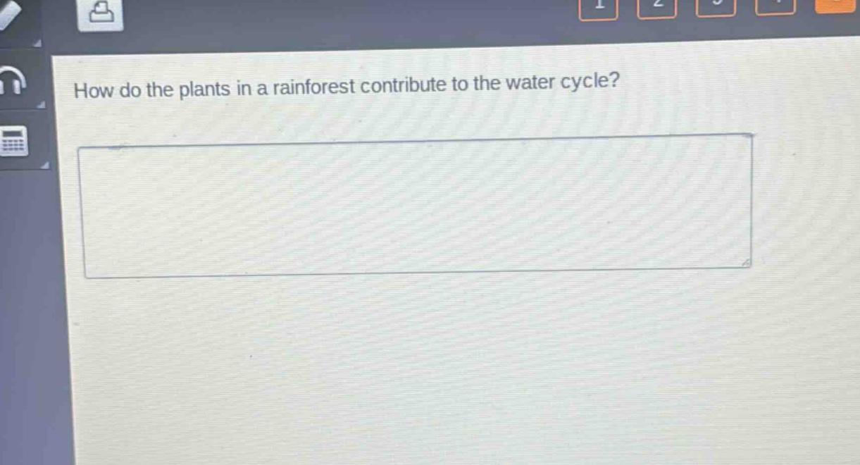 how do the plants in a rainforest contribute to the water cycle?