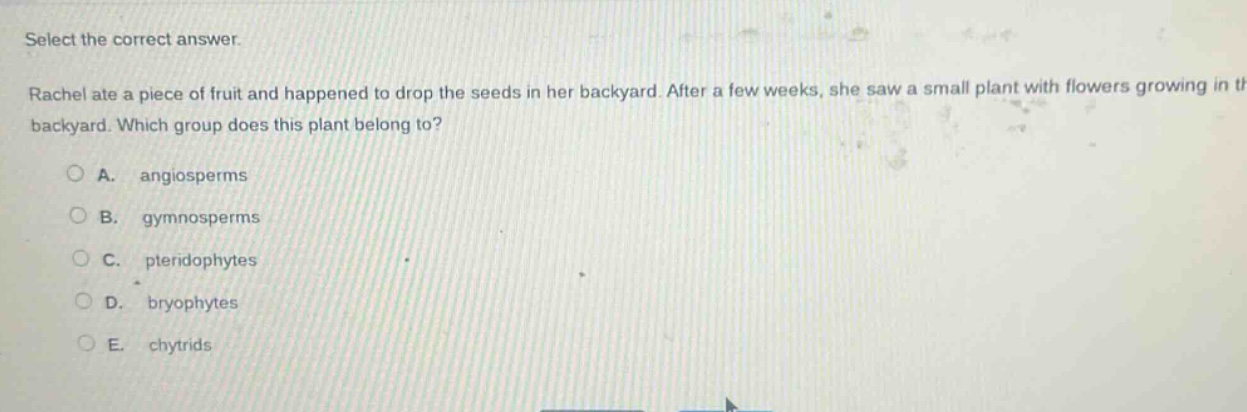 select the correct answer.\nrachel ate a piece of fruit and happened to drop the seeds in her backyard. after a few weeks, she saw a small plant with flowers growing in the backyard. which group does this plant belong to?\na. angiosperms\nb. gymnosperms\nc. pteridophytes\nd. bryophytes\ne. chytrids