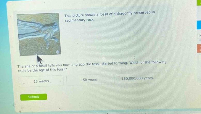 this picture shows a fossil of a dragonfly preserved in sedimentary rock. the age of a fossil tells you how long ago the fossil started forming. which of the following could be the age of this fossil? 15 weeks, 150 years, 150,000,000 years