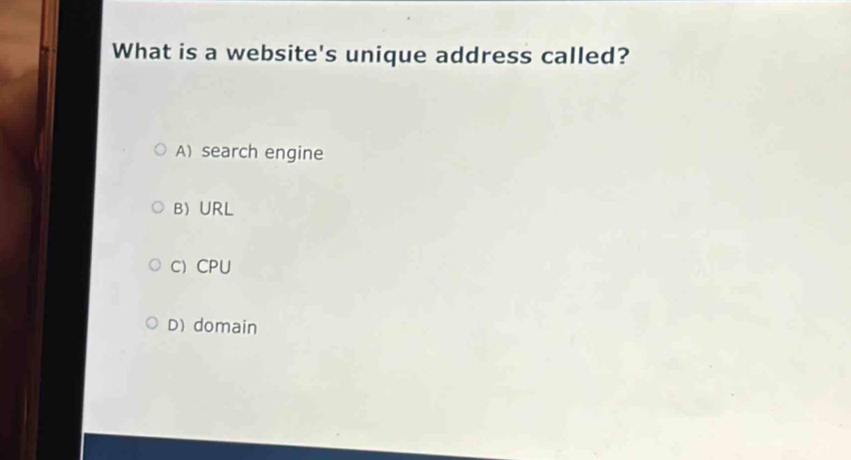 what is a websites unique address called?\na) search engine\nb) url\nc) cpu\nd) domain